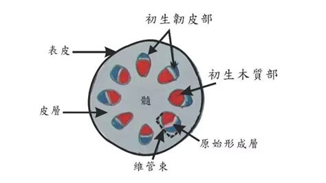 管束意思|管束是什么意思